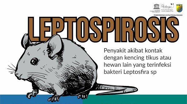 Poster Leptospirosis. Dokumentasi: jatengporv.go.id
