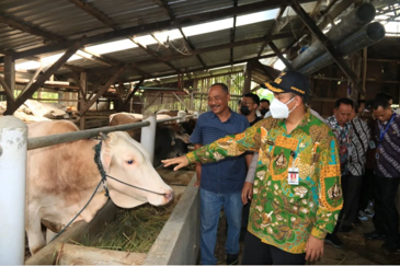 Bupati Pemalang, Mukti Agung Wibowo menghadiri pelaksanaan vaksinasi dan pemantauan hewan kurban di Desa Kejambon, Kecamatan Taman. Sumber foto: Instagram @masagungbupatine