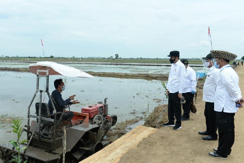 Presiden Joko Widodo meninjau lahan food estate di Pulang Pisau, Kamis (8/10/2020). Foto: Biro Pers – Setpres)