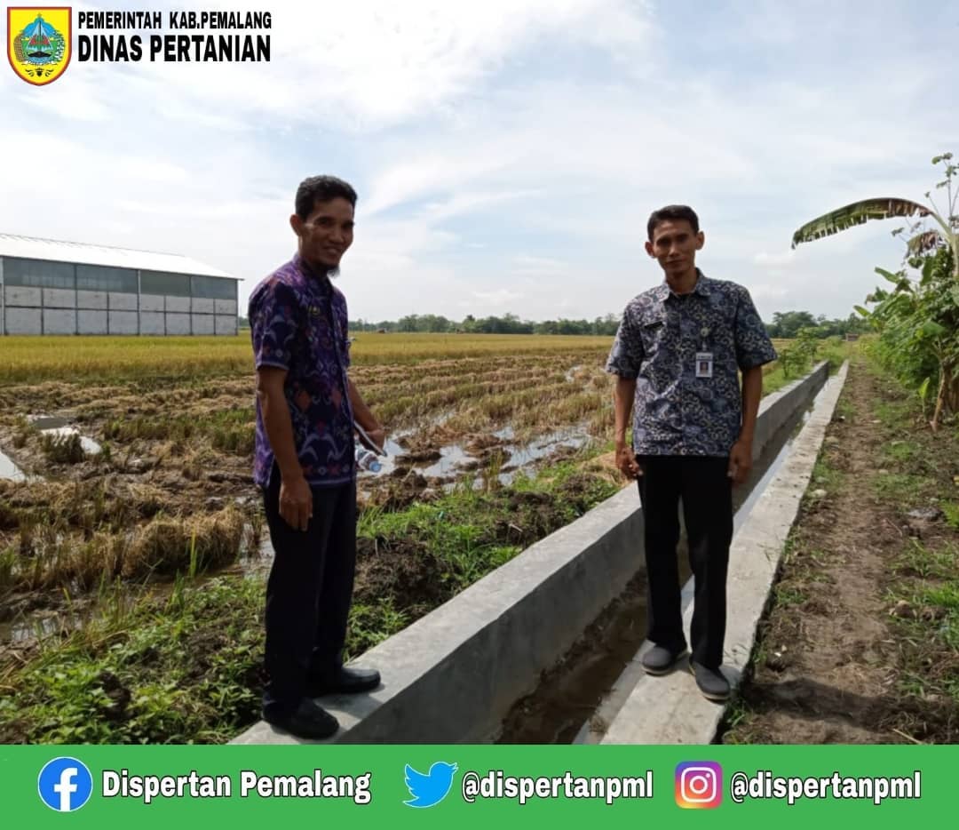 Dispertan Pemalang melaksanakan monitoring dan evaluasi program RJIT di Desa Jeaganan, Kecamatan Bodeh, Kamis (14/7). (Foto: instagram.com/dispertanpml)