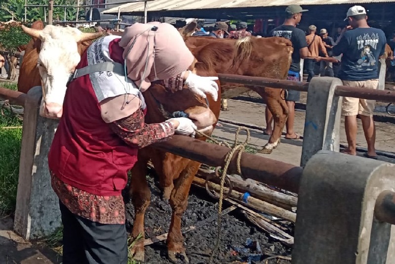 Ilustrasi: dispeterikan.magelangkab.go.id/