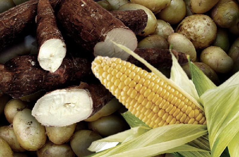 Ilustrasi. dkp.lumajangkab.go.id/2021/03/04/mengenal-pangan-lokal/