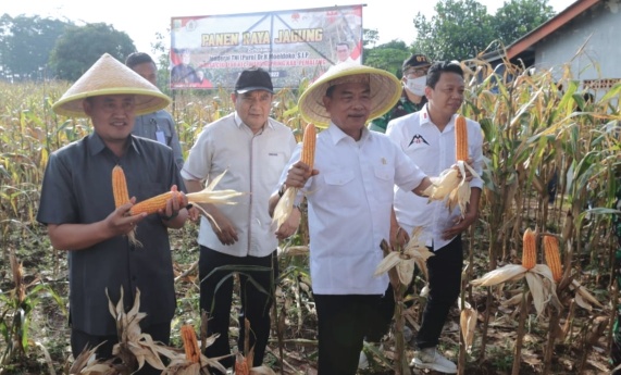 Kepala Staf Kepresidenen, Moeldoko bersama Plt. Bupati Pemalang, Mansur Hidayat saat mengikuti panen jagung di Desa Cibuyur, Kecamatan Warungpring. Sumber foto: pemalangkab.go.id