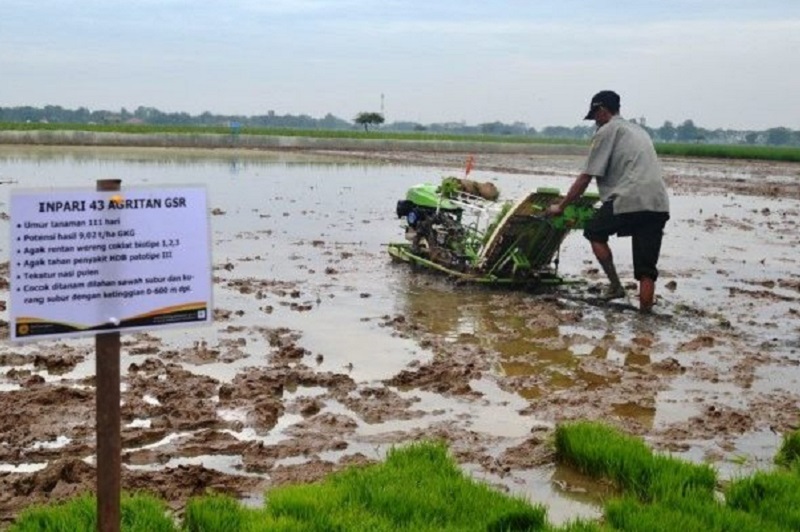 Ilustrasi. Foto dinpertanpangan.demakkab.go.id