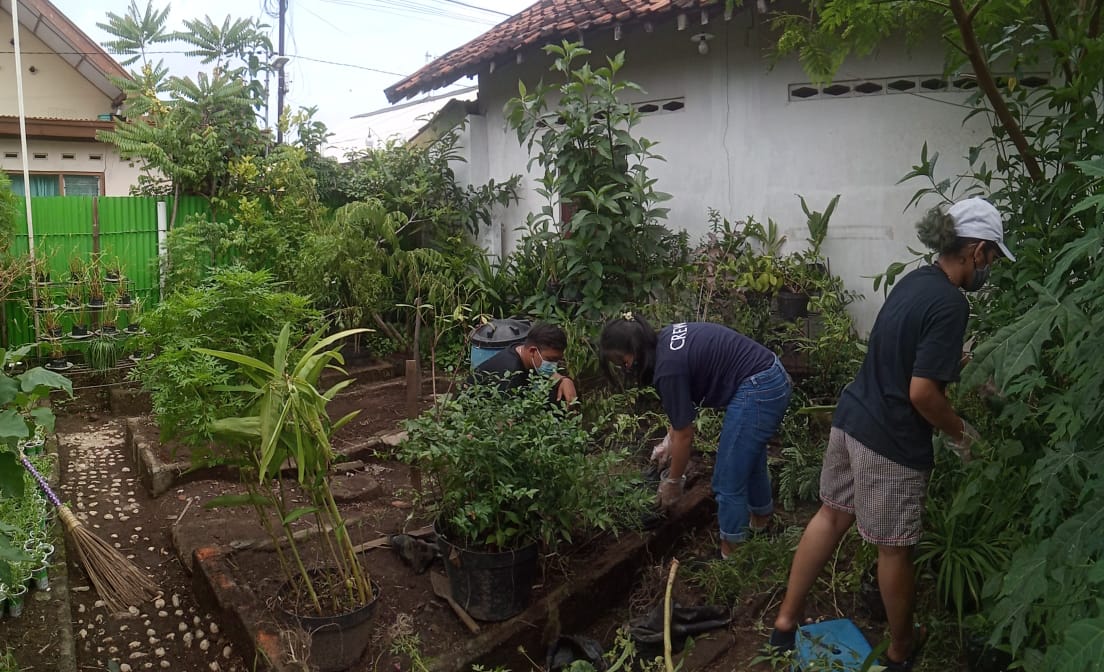 Salah satu kampung sayur di Kota Yogyakarta, yaitu Kampung Sayur Bausasran. Foto:  jogjakota.go.id