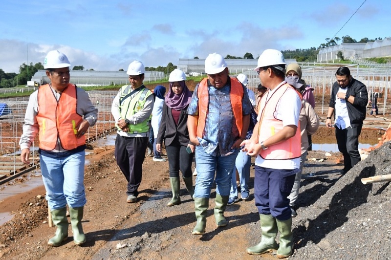  Kementerian Pertanian (Kementan) optimis pembangunan nursery moderen perkebunan seluas enam hektare (Ha) di Cianjur. Foto Kementan