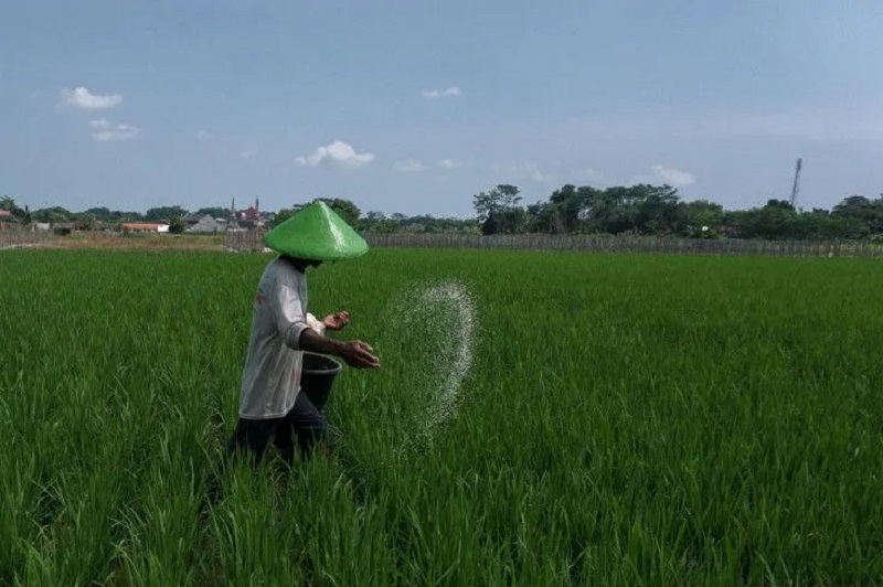 Ilustrasi. Foto Antara.