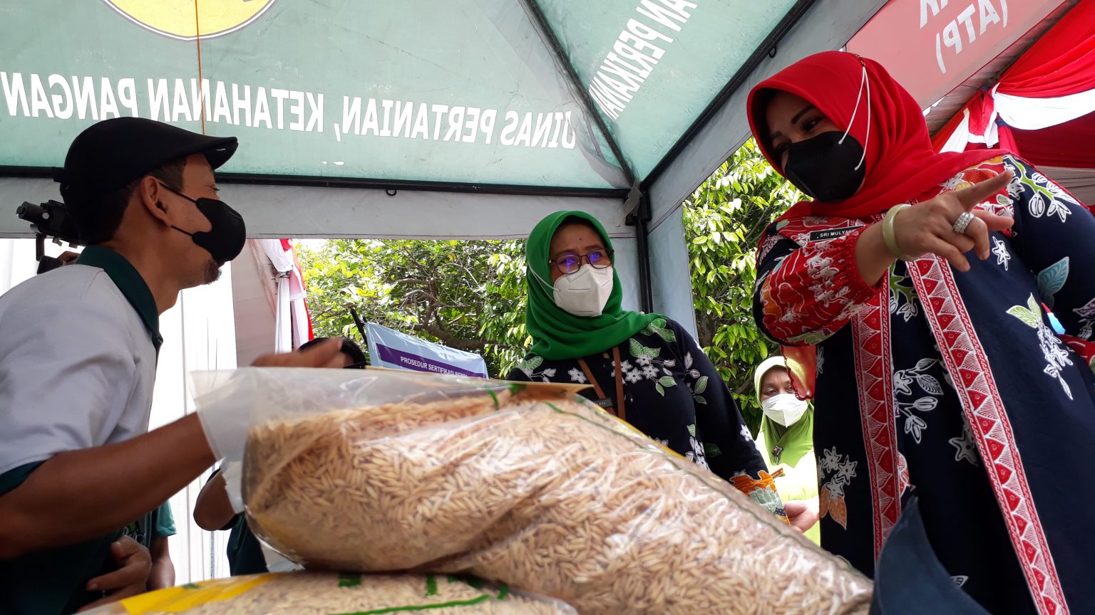 Bupati Klaten, Sri Mulyani, saat mengujungi stand yang mempromosikan beras. Foto: klatenkab.go.id
