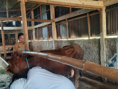 Dispertan Pemalang catat sebanyak 6.580 dosis vaksin PMK telah diberikan pada hewan ternak. Sumber foto: Instagram @dispertanpml