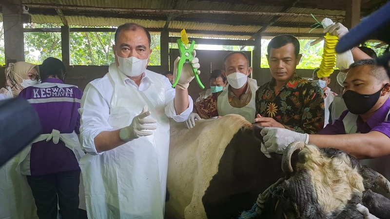 Direktur Jenderal Peternakan dan Kesehatan Hewan (Dirjen PKH) Nasrullah saat melakukan pencanangan vaksinasi massal secara nasional di peternakan sapi perah Dusun Tanjunganom, Desa Tanjungsari, Kecamatan Taman Sidoarjo di Kabupaten Sidoarjo. Kominfo Jatim