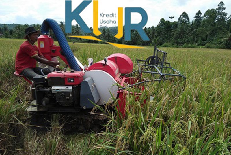 Sumber: Kementan