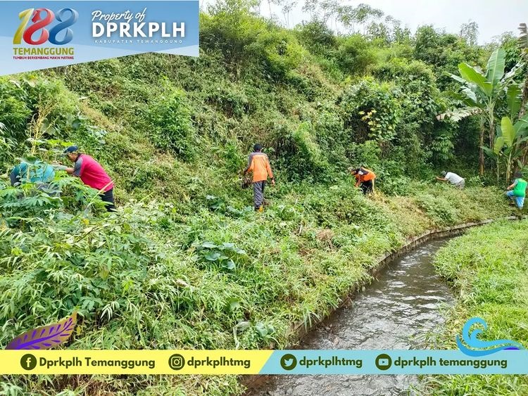 DPRKPLH Temanggung bersama warga melakukan aksi penanaman pohon di kawasan lahan kritis di Desa Krawitan, Jumat (2/12). (Foto: instagram.com/dprkplhtmg)