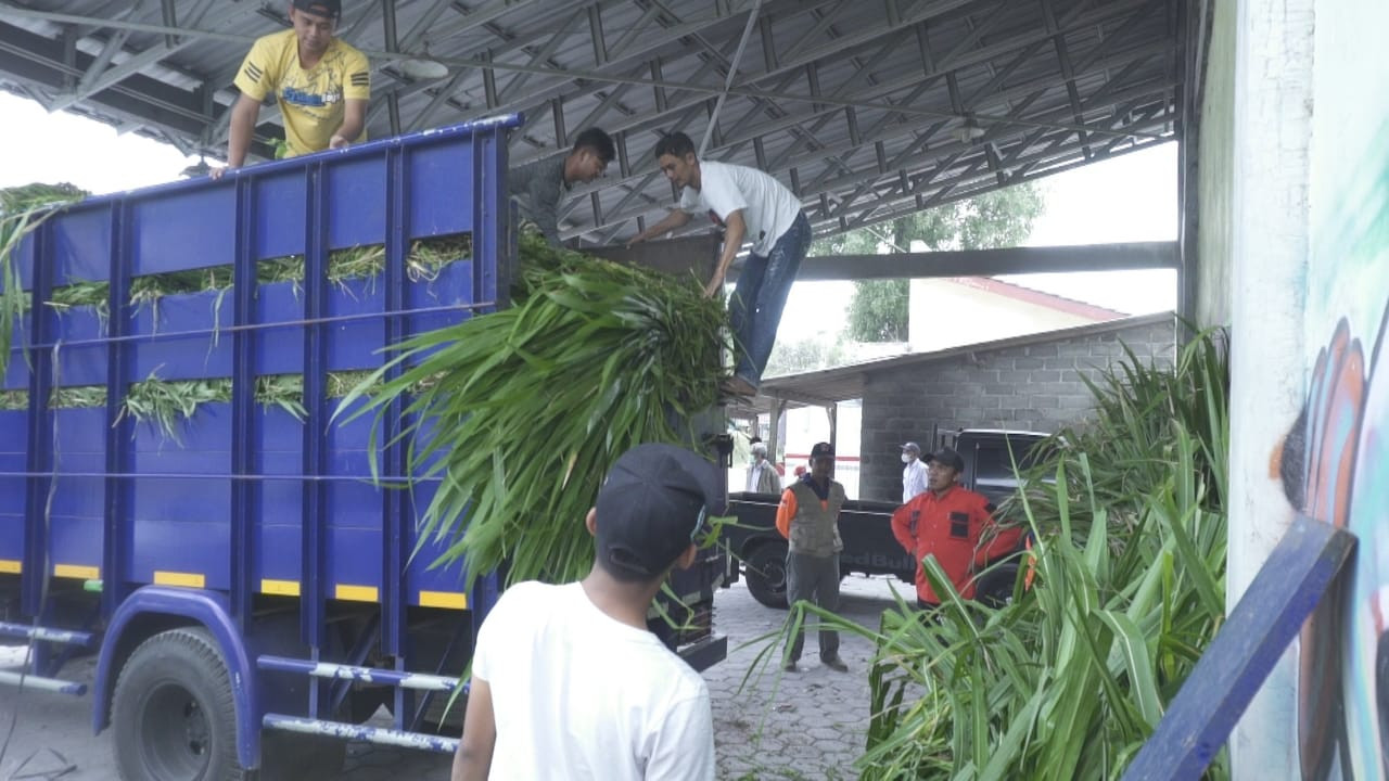 Bantuan pakan ternak dari Kementan RI tiba di Desa Tlogolele. Sumber foto: boyolali.go.id