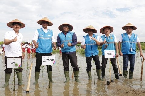 Penanaman Mangrove di kawasan pesisir Pantai Utara Jawa. Sumber Foto: web.pln.co.id
