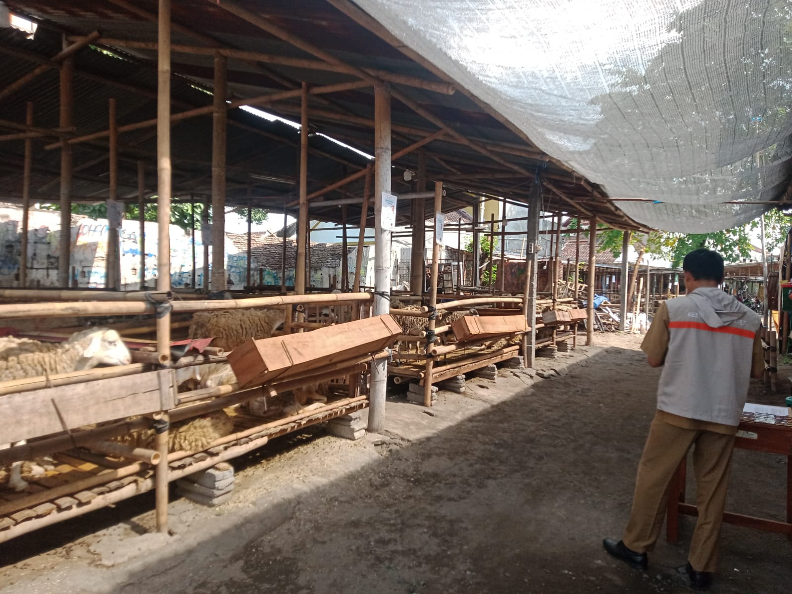 Petugas Dinas Pertanian dan Pangan Pantau Kesehatan Hewan Kurban di PPHQ AMM Kotagede dan di Lapak Qurban Pak Raden. Foto: jogjakota.go.id