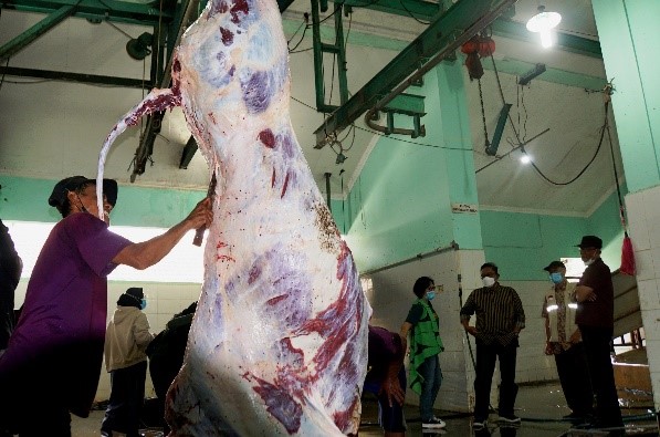 Penyembelihan Hewan Kurban di RPH Giwangan. Sumber Foto: jogjakota.go.id