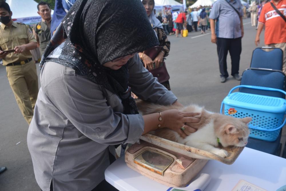 Disnakkeswan Jateng menggelar vaksinasi rabies dan steril gratis bagi hewan peliharaan di Batang. Sumber foto: berita.batangkab.go.id