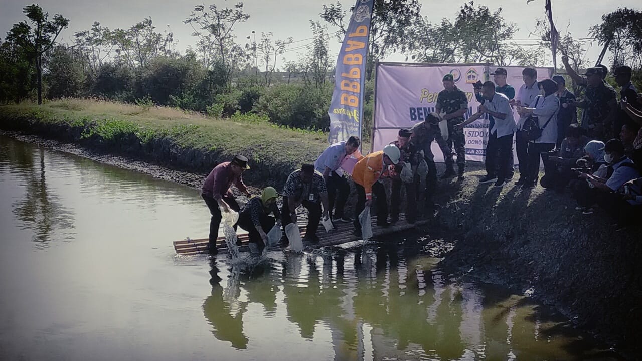 Salah satu daerah budidaya ikan bandeng Desa Ujungwatu Donorojo. Foto: jatengprov.go.id