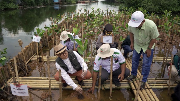Ketua Umum Partai Kebangkitan Bangsa (PKB), Abdul Muhaimin Iskandar saat penanaman mangrove di Jakarta. Foto: pkb.id