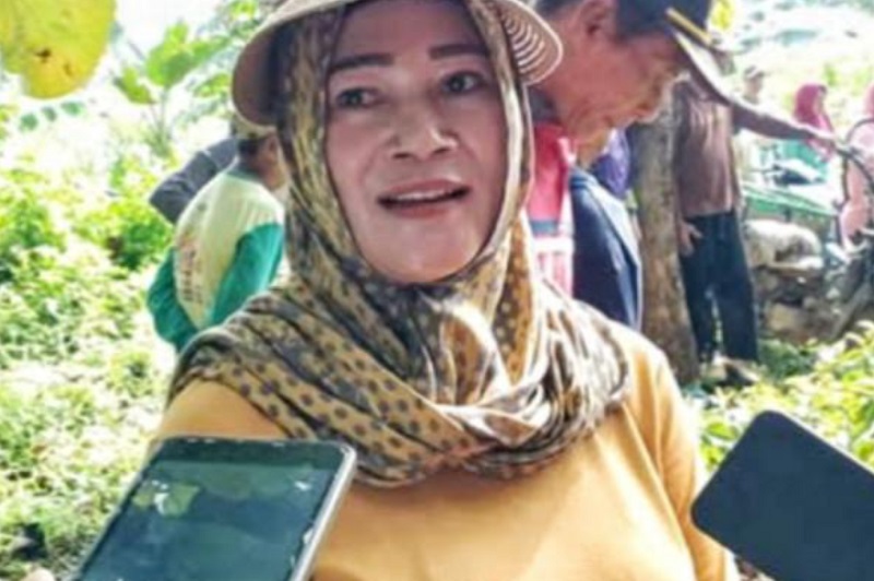 Anggota Dewan Perwakilan Rakyat Daerah (DPRD) Kabupaten Pati Warsiti. Foto istimewa