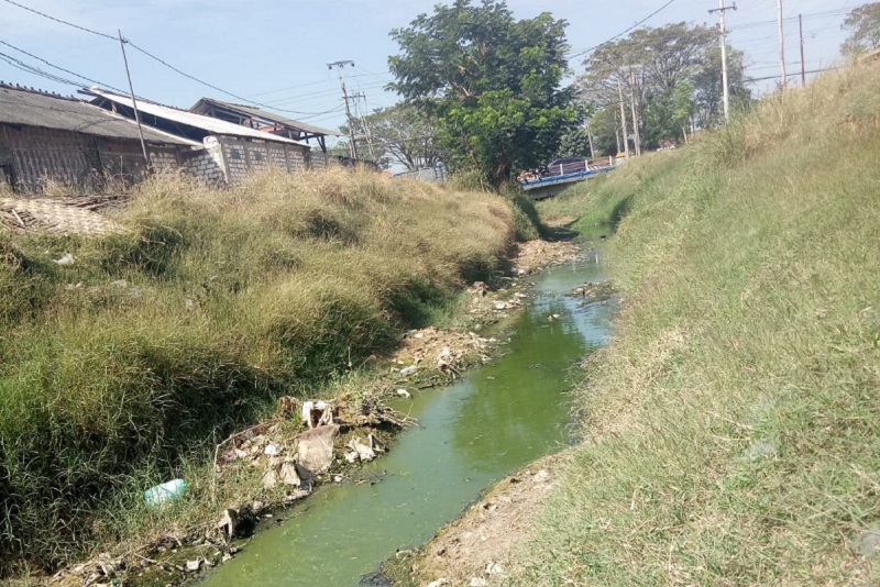 Sebuah sungai yang tercemar limbah di Desa Ketitang Wetan, Kecamatan Batangan, Kabupaten Pati. Foto istimewa