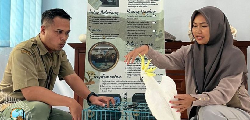 Libatkan Partisipasi Warga, Jadi Garda Terdepan BKSDA Jatim Melindungi Satwa Liar